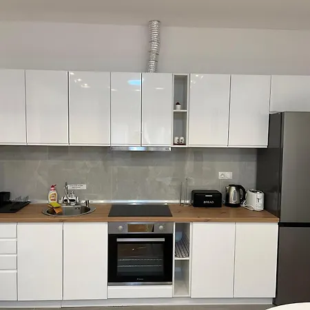 Olive Center Apartament *